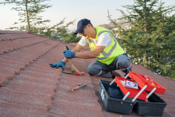 Best Storm Damage Roof Repair  in Waterloo, IN