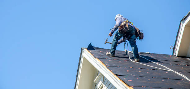 Best Roof Gutter Cleaning  in Waterloo, IN
